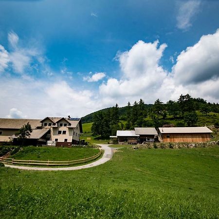Tourist Farm Pr'Dovar Церкле на Горенскем Екстериор снимка