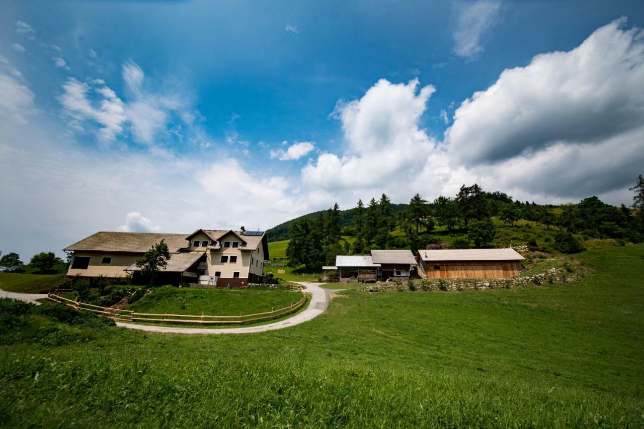 Tourist Farm Pr'Dovar Церкле на Горенскем Екстериор снимка